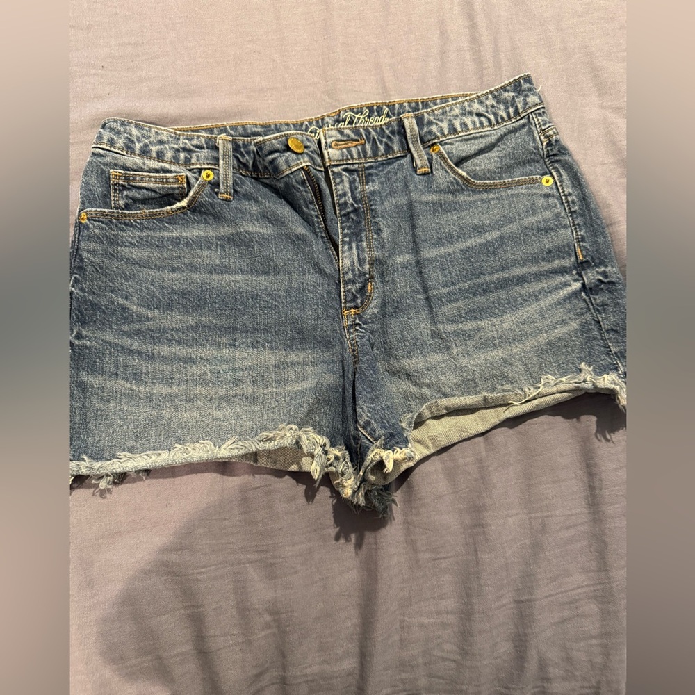 Universal Thread Denim Women's Shorts